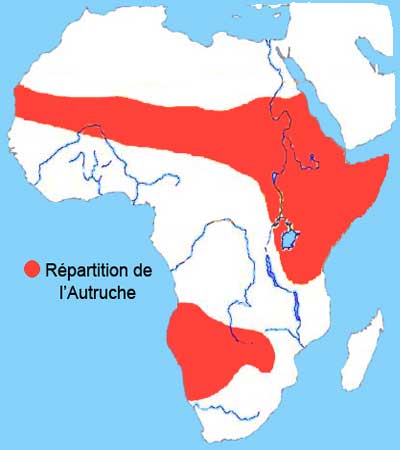 repartition de l'autruche