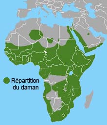 repartition du daman