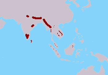 Rpartition de l'Elphant en Asie