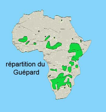 repartition du guepard en Afrique