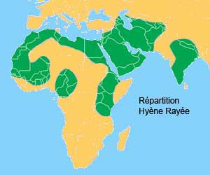 Répartition géographique de la hyene rayée