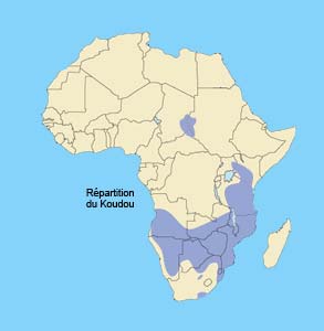 repartition du koudou en Afrique