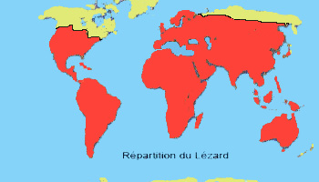 repartition du lzard