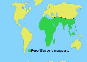 repartition de la mangouste