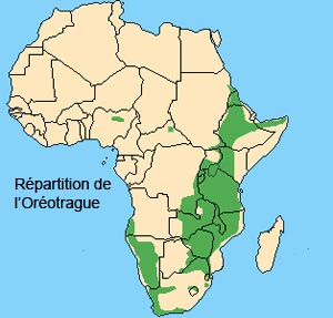 Rpartition de l'oreotrague