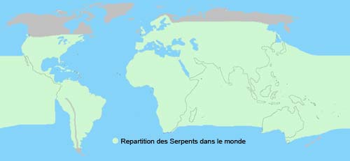 repartition du serpent