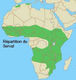 repartition geographique du serval