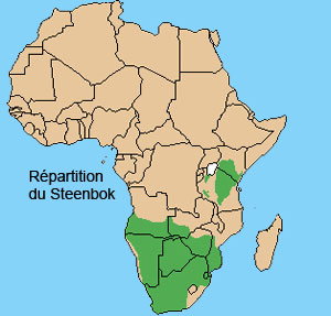 Rpartition du steenbok