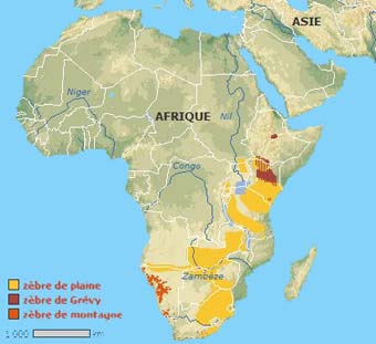 repartition zebre